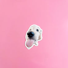 Load image into Gallery viewer, nellie nugget dog sticker
