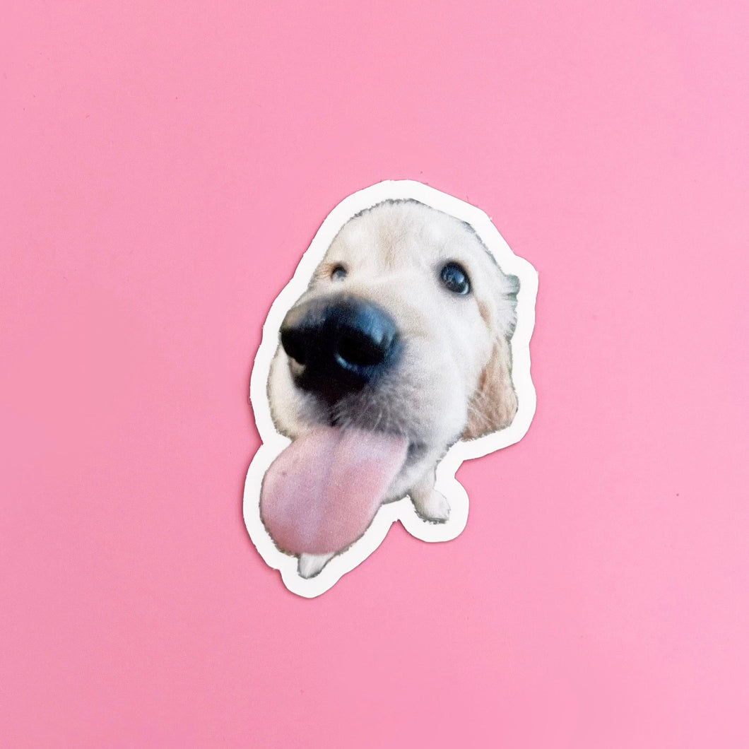 nellie nugget dog sticker